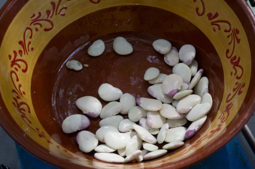Lima Beans