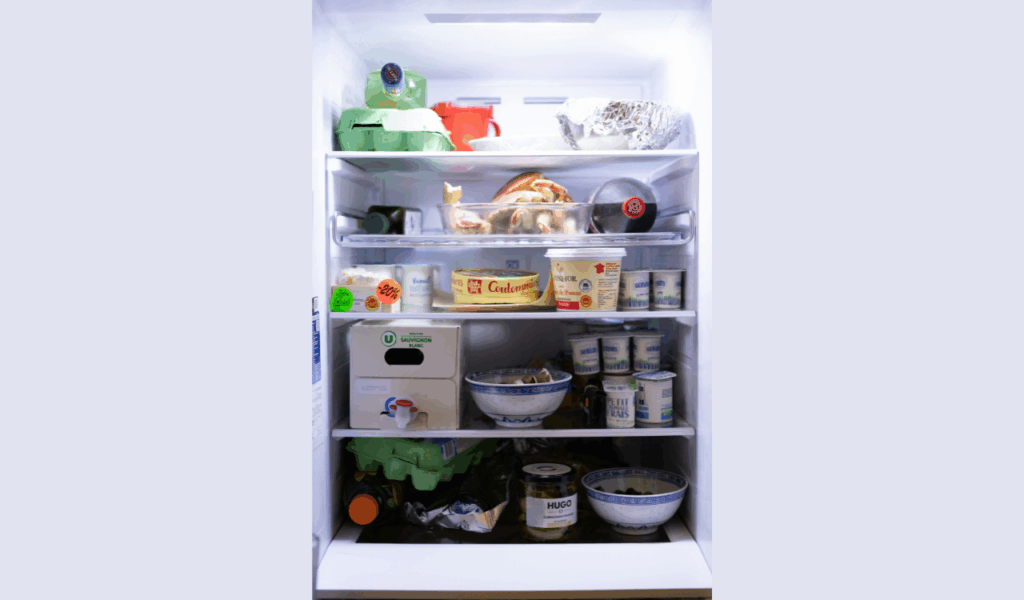 Freeze Leftovers and Extras