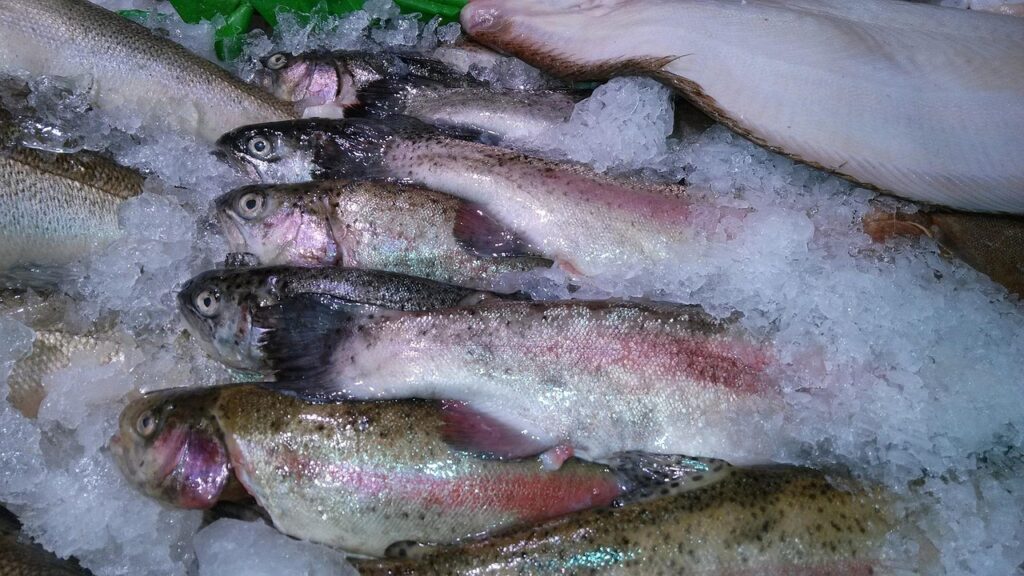 Frozen fish