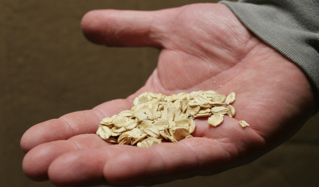 “Carbs Should Be Completely Avoided”