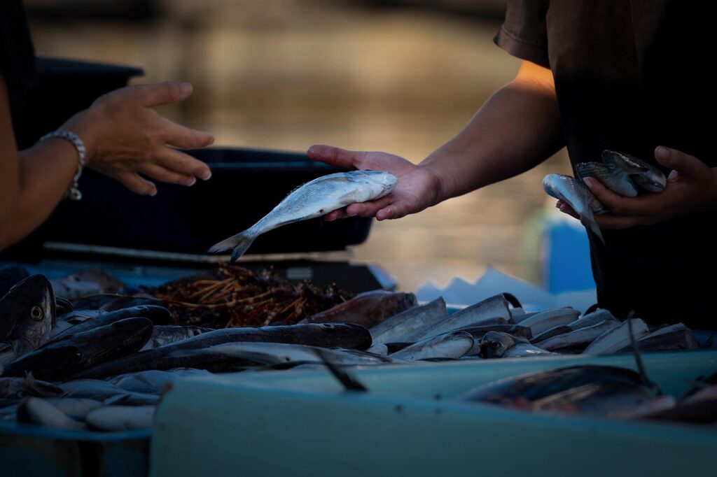 Fresh fish