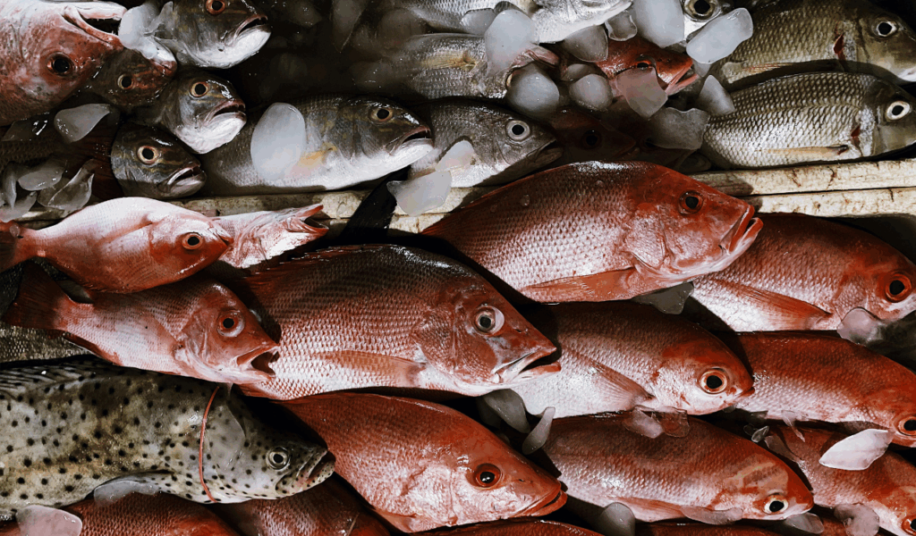 9 Fish Varieties That Surprise First-Time Tasters