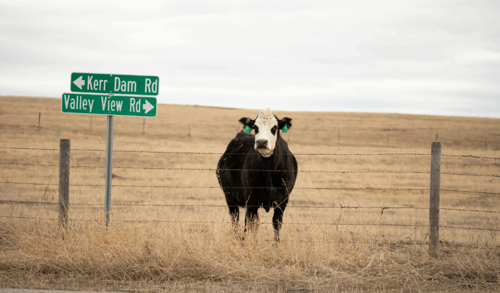 Montana Big Sky Country