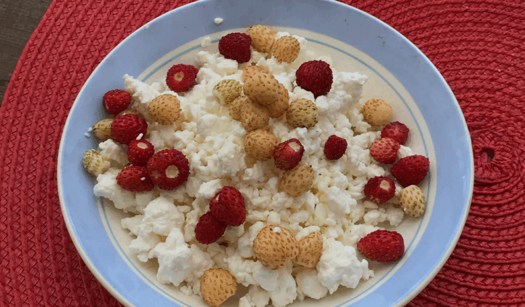 Cottage Cheese with Fruit