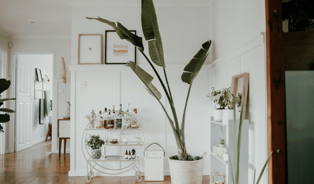 Personalize with Art and Photos