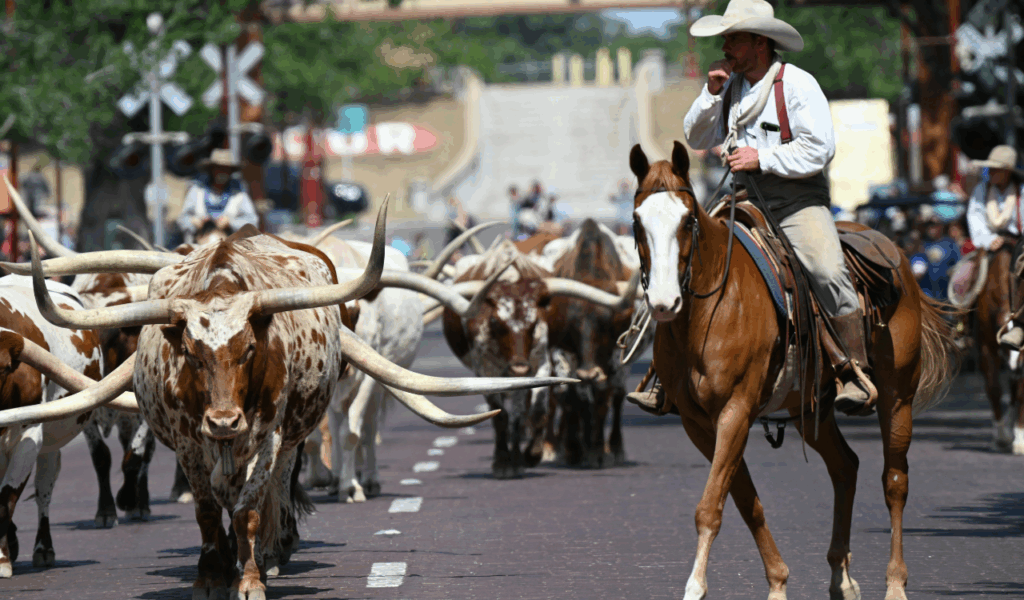 6 Best Beef Destinations in the US