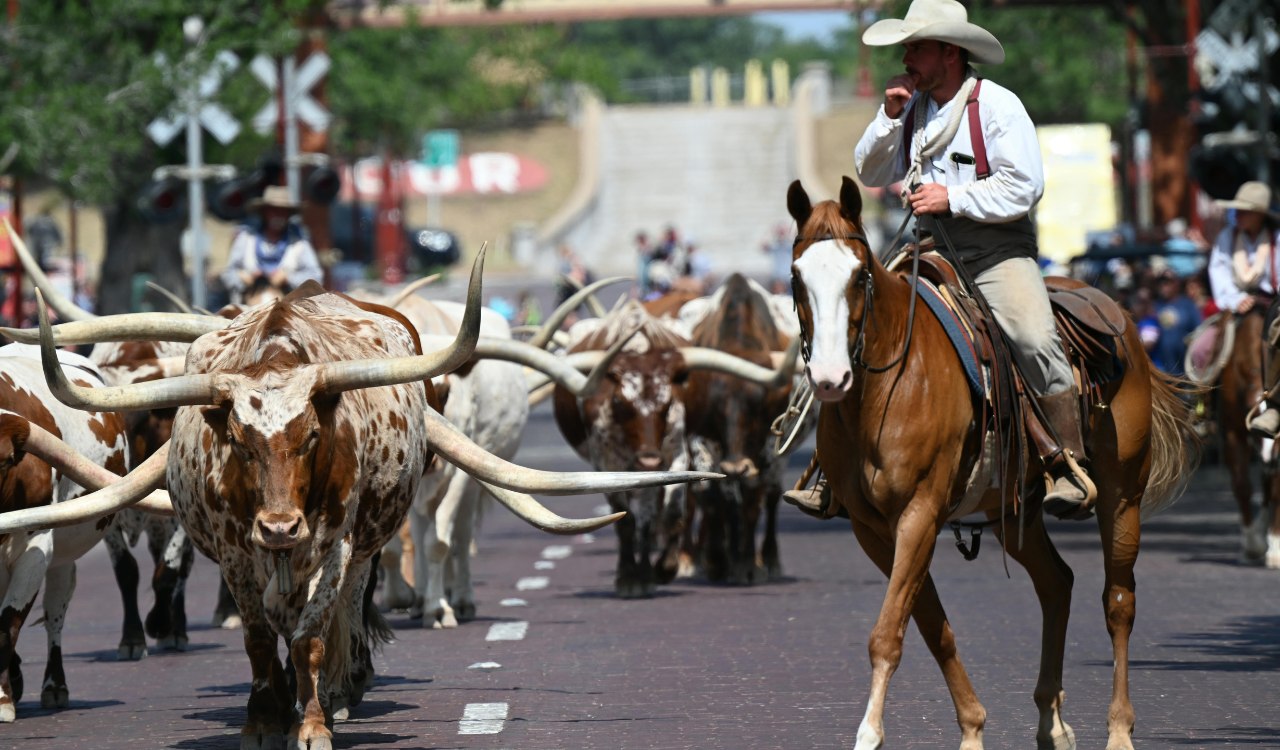 6 Best Beef Destinations in the US