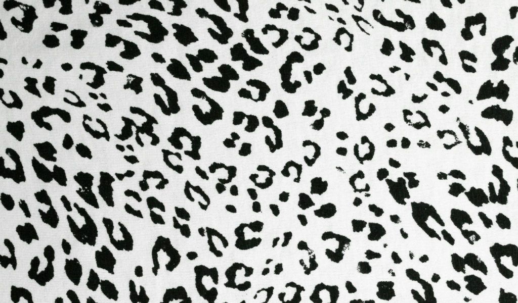 Graphic Black and White Rugs