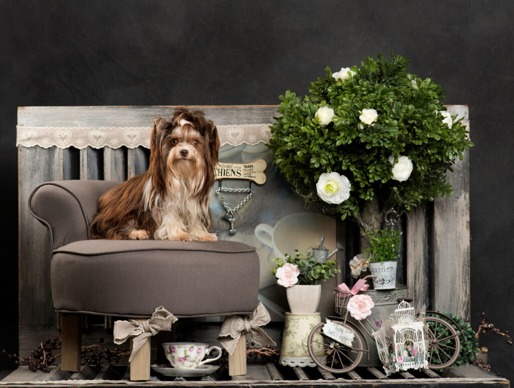 Tailored Decor Choices