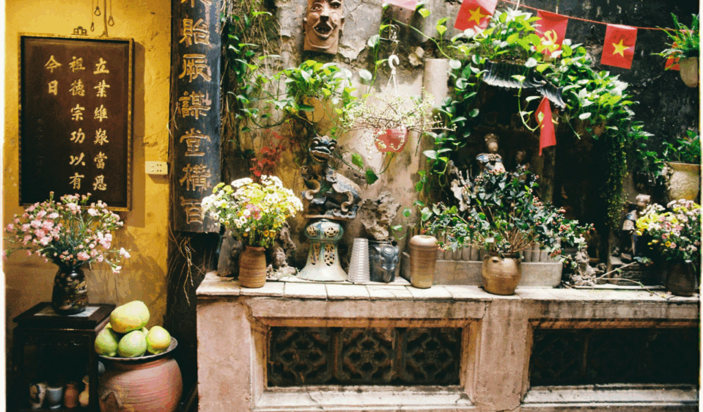 6 Ways to Bring Nature Indoors Year-Round