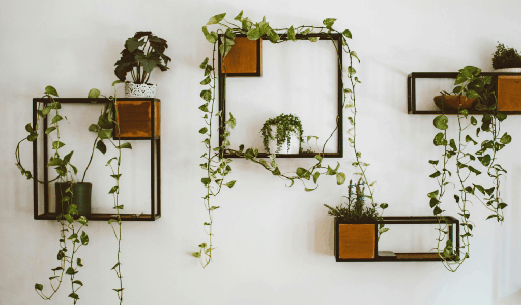 Keep Decor Minimal and Streamlined