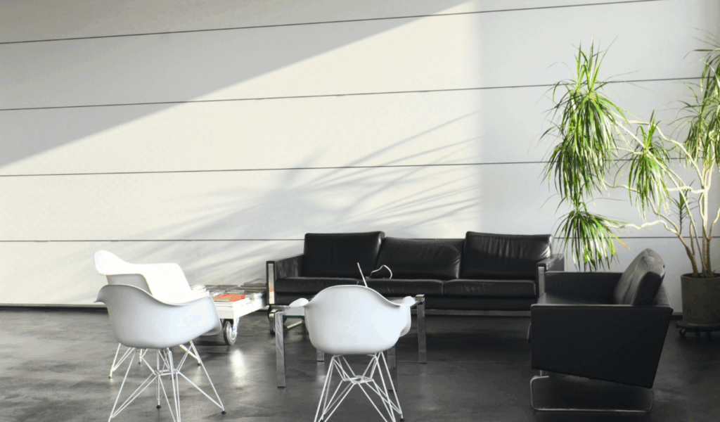 Minimalist Black and White Contrast