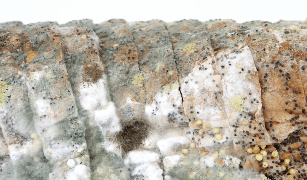 Bread with Slight Staleness