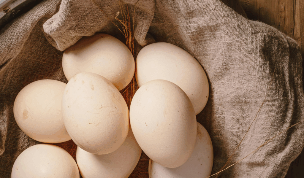 Eggs Near or Slightly Past the Date