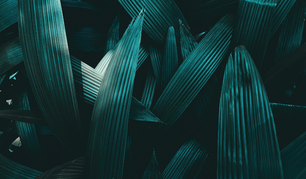 Soft Botanical Prints