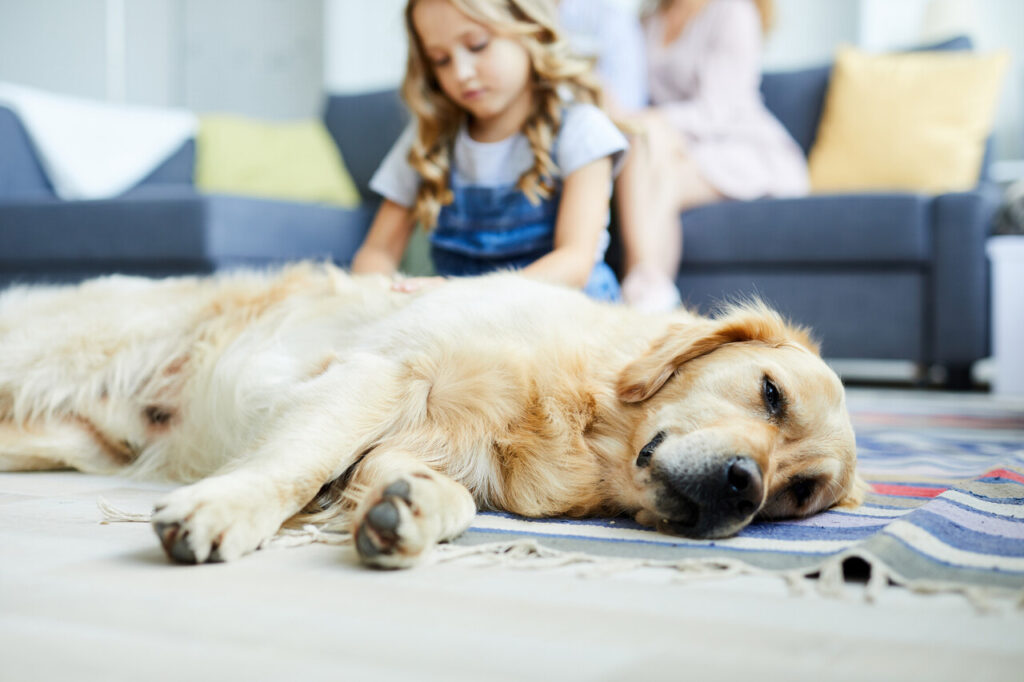 Durable, Easy Clean Surfaces