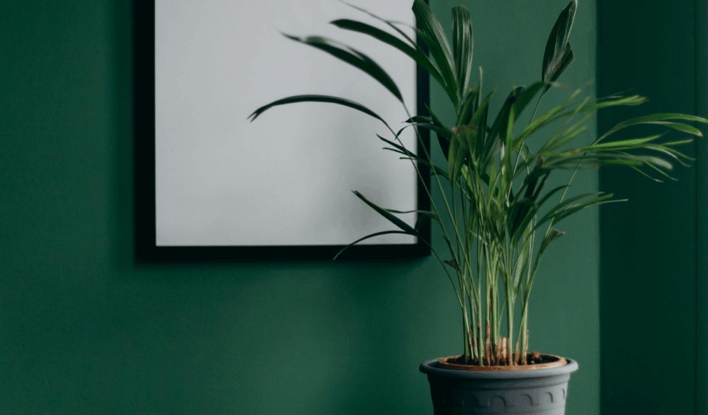 Sage Green and Botanical Shades