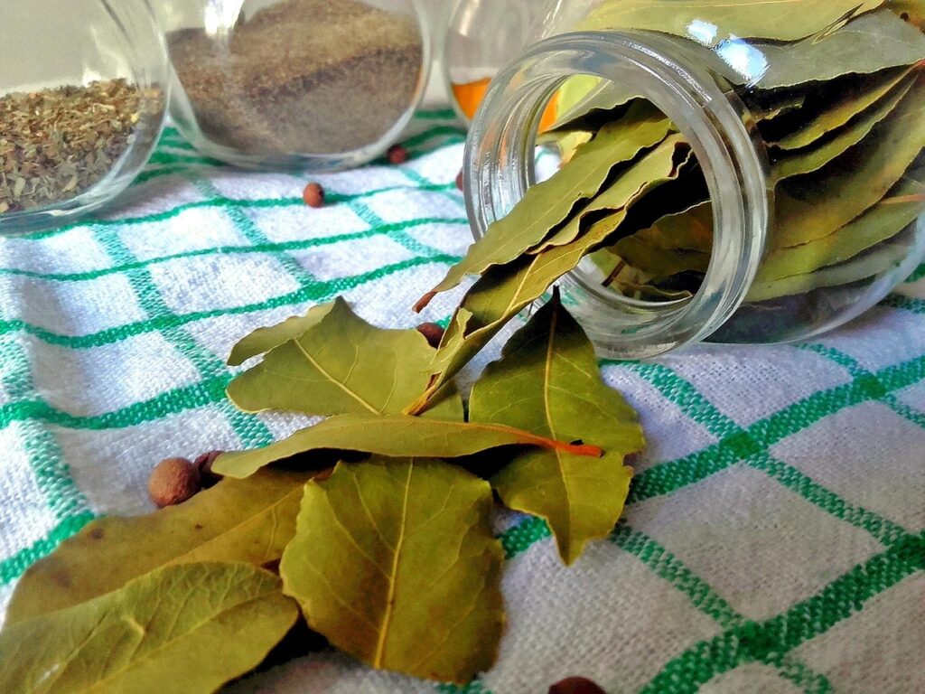 Bay leaves