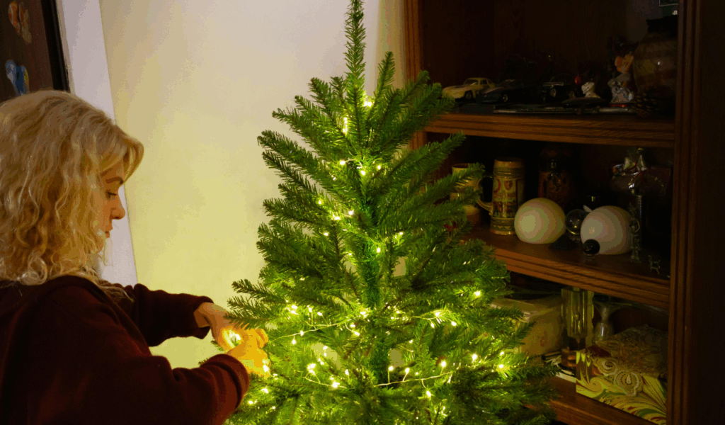 Seasonal Throw Pillows