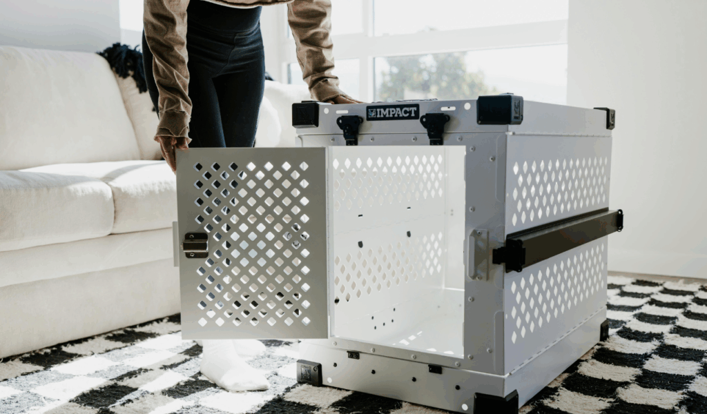 High Contrast Black and White Rugs