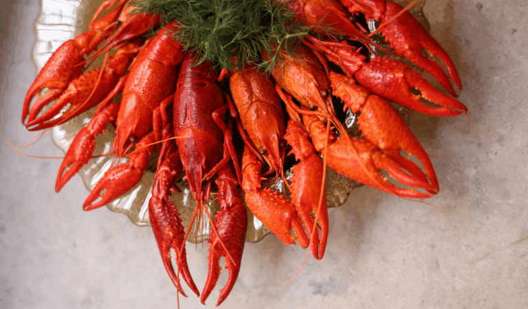 10 Seafood Shacks Serving Lobster Rolls That Spark Health Debates