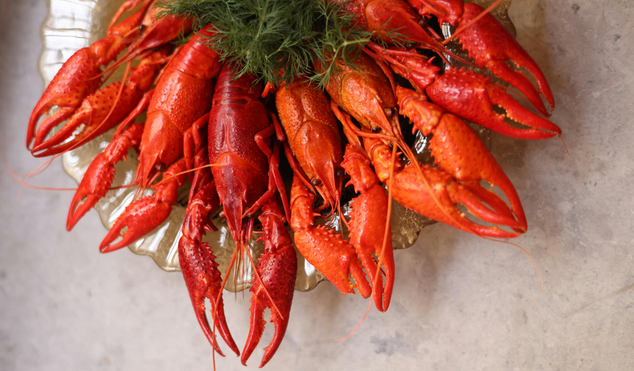 10 Seafood Shacks Serving Lobster Rolls That Spark Health Debates