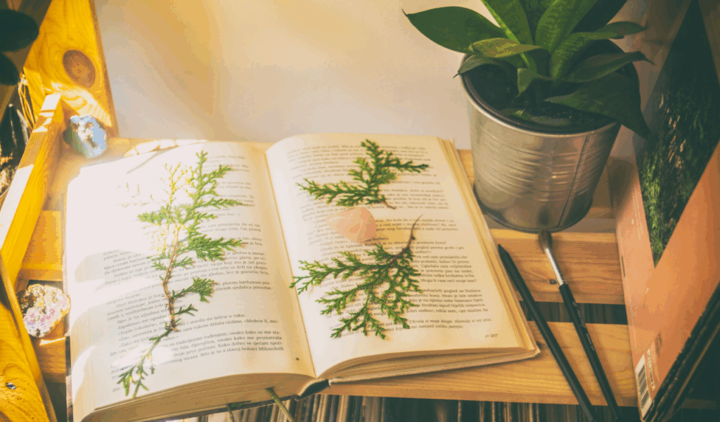Tiny Desk in a Dark Corner