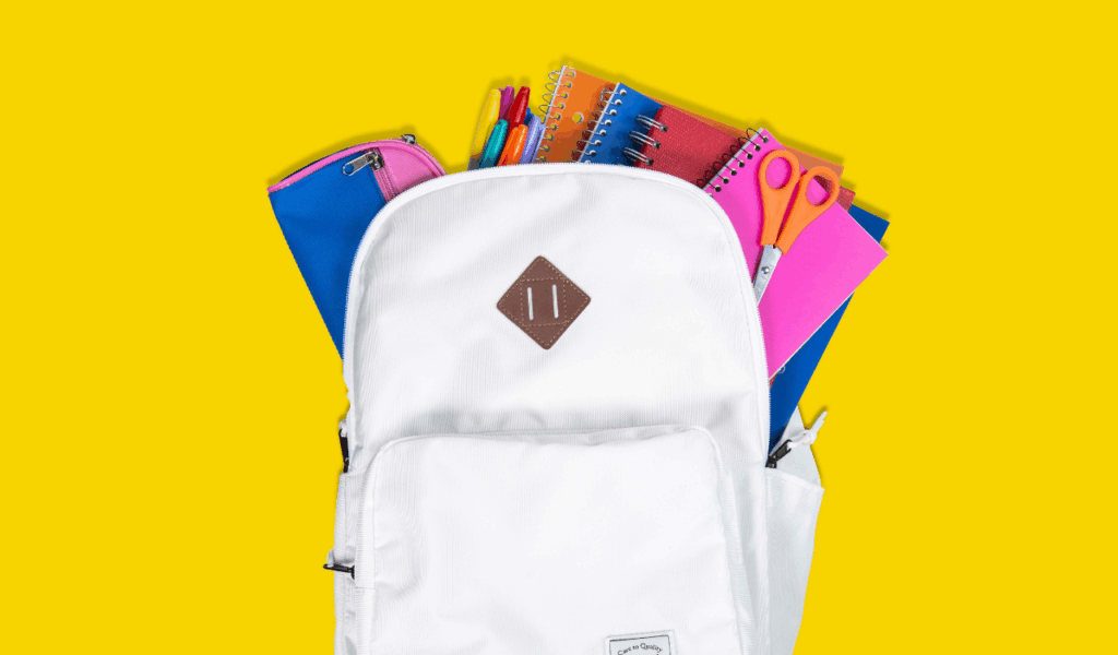 Slim Backpack Organizer Inserts