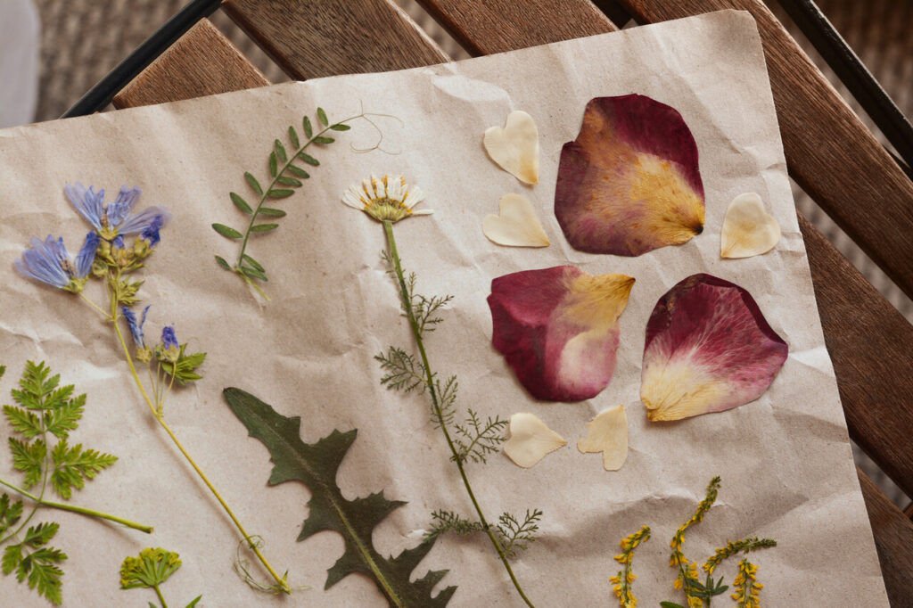 Pressed Flowers And Natural Finds