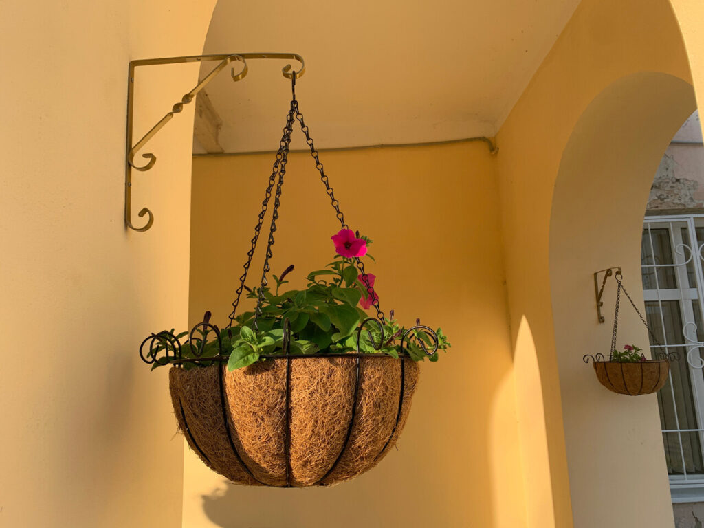 Hanging Baskets And Shallow Crates