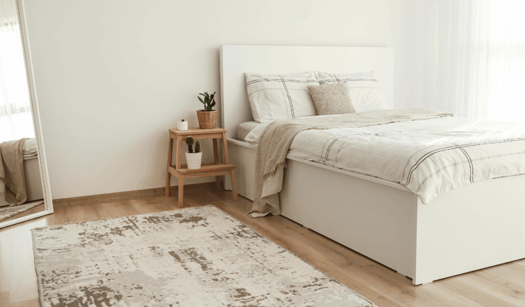 Inexpensive Shag Rugs