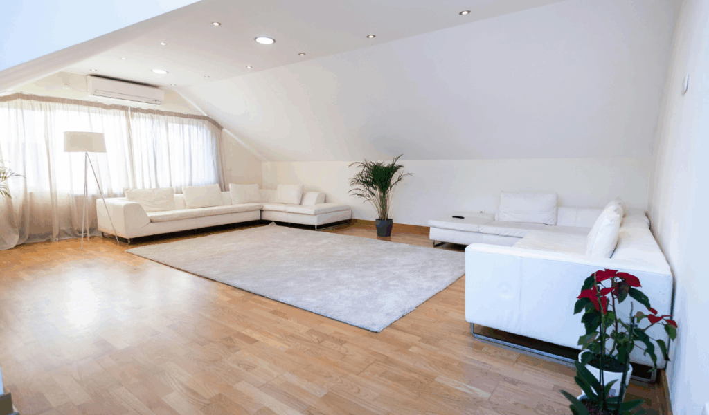 Ultra-Minimalist Living Rooms