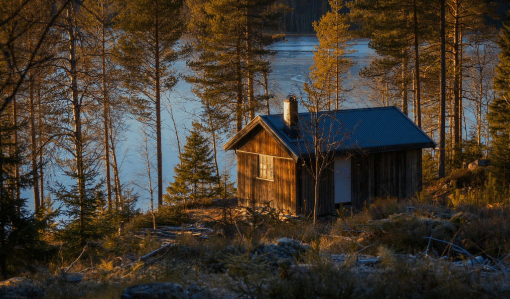Lakefront Cabin Style