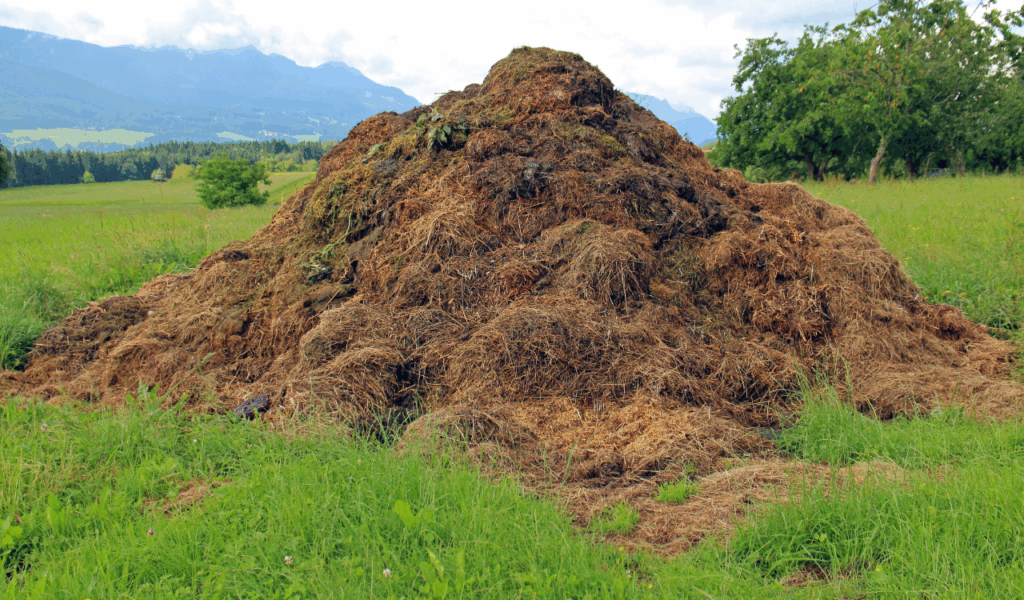 Large Quantities of Animal Waste