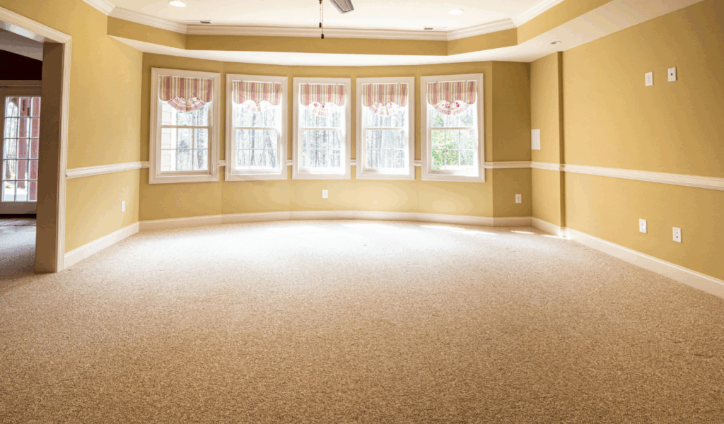 Bare Windows With No Soft Treatments