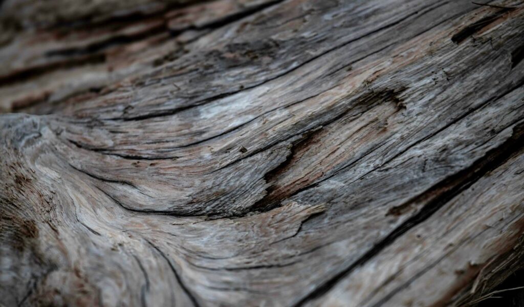 Driftwood Planks