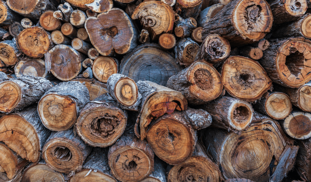 Rough-Sawn Ponderosa Pine