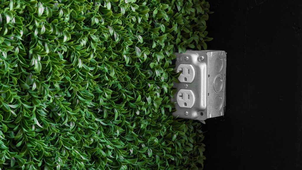 Electric Outlet on Green Wall
