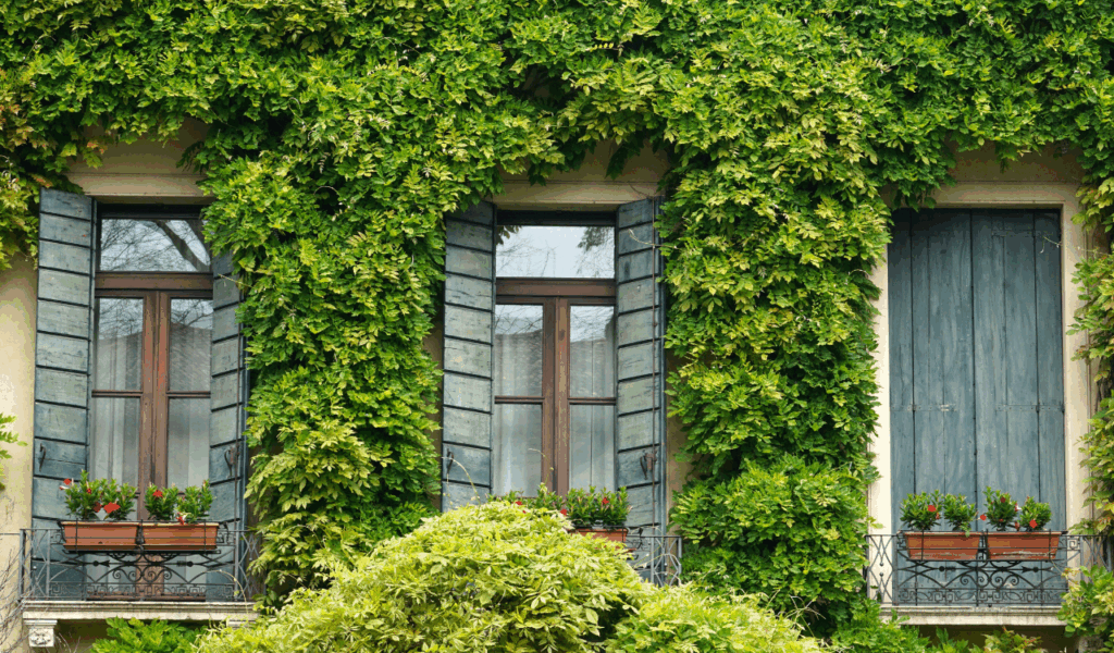 8 Faux Plants That Look So Real They Fool—and Annoy—Your Guests