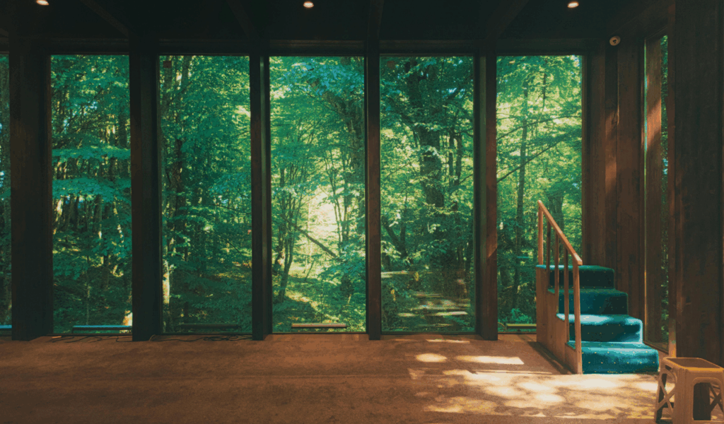 Highlight Views of Nature Outdoors