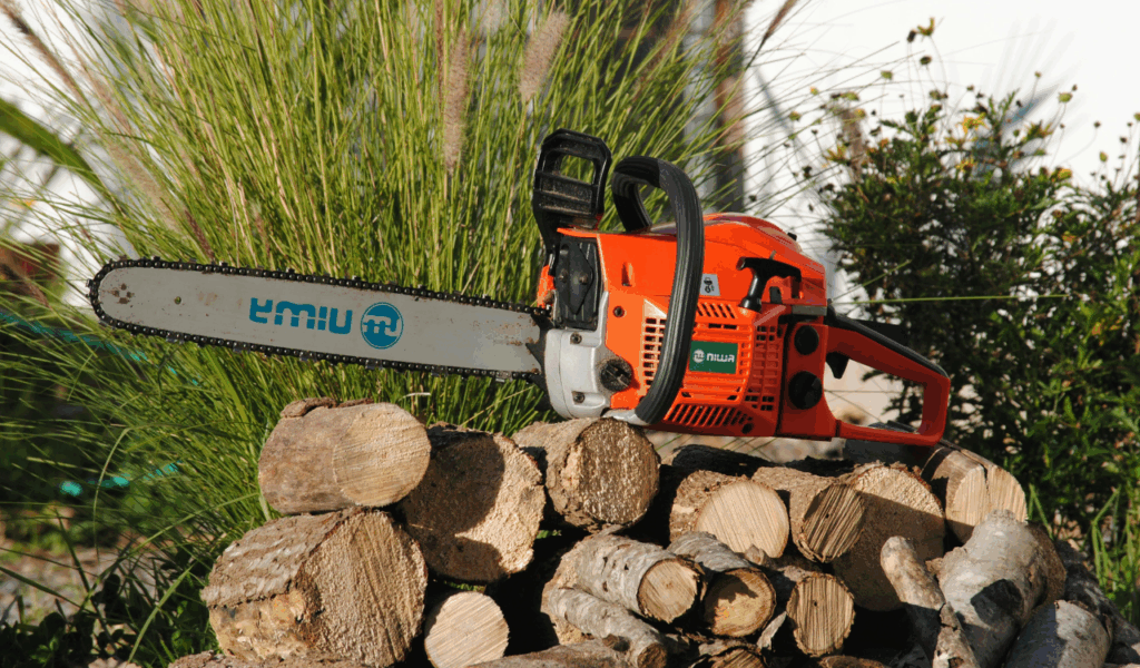 Gas-Powered Chainsaws