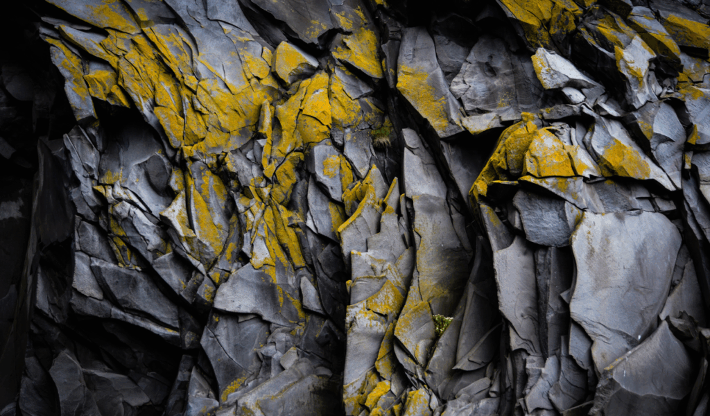 The Cluttered Floor to Ceiling Maximalist Mess