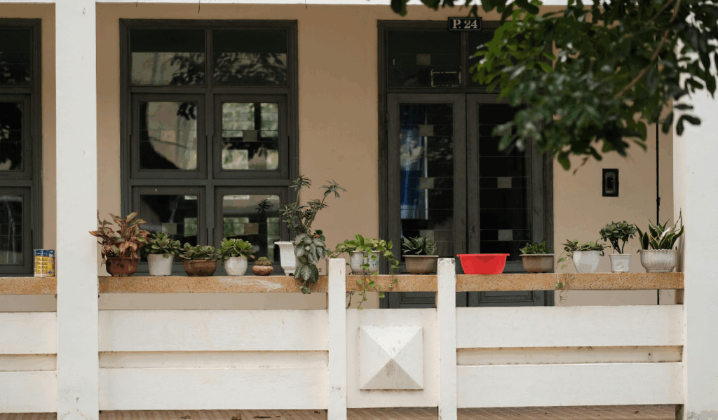 Introduce Potted Plants and Greenery