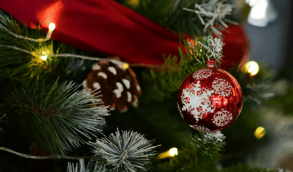 Dense String Lights Wrapped Everywhere