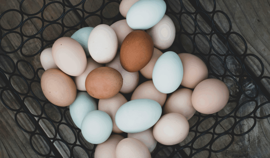 8 “Farm-Fresh” Eggs Grocery Ads Glamorize But Taste Like Nothing