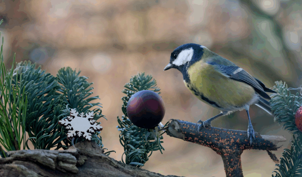 Bulky Tree Skirts and Oversized Bases