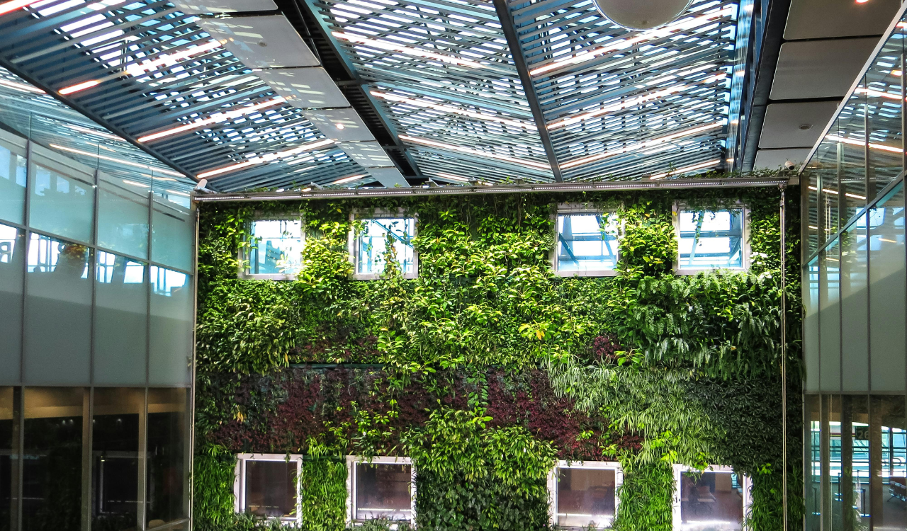 14 Biophilic Decor Ideas Bringing the Outdoors In