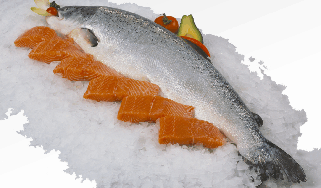 Farm-Raised Salmon in the Seafood Case