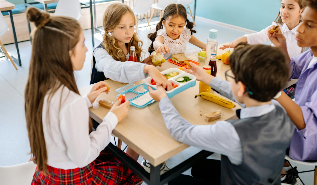 9 Back-to-School Meal Ideas That Didn’t Fit Busy Mornings