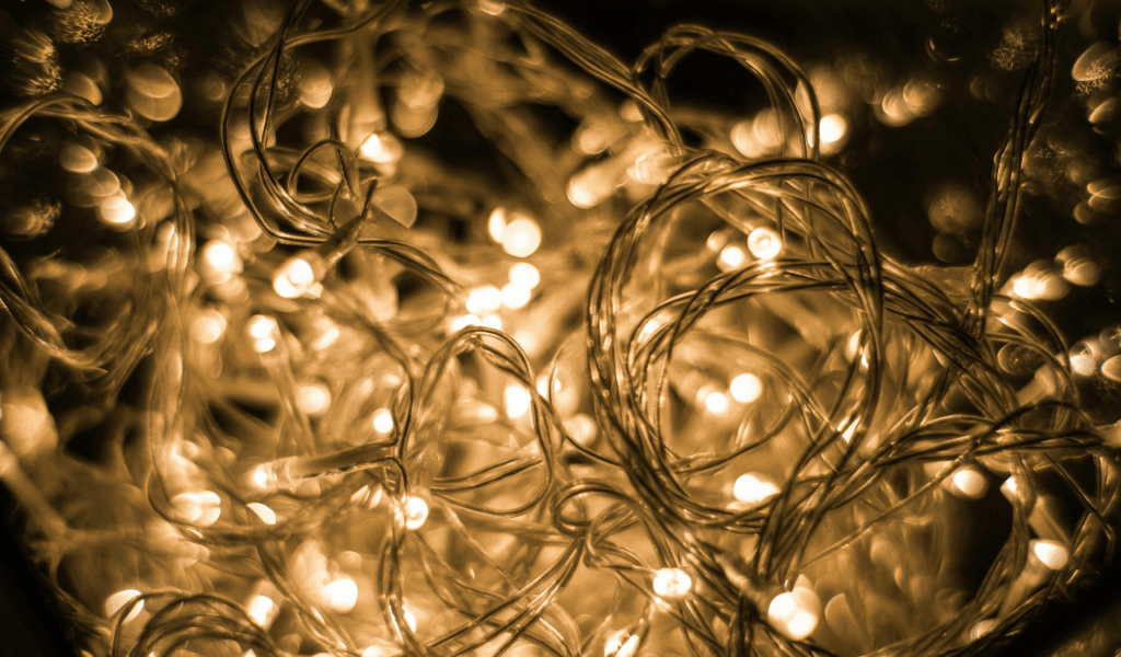 String Lights in Novelty Shapes